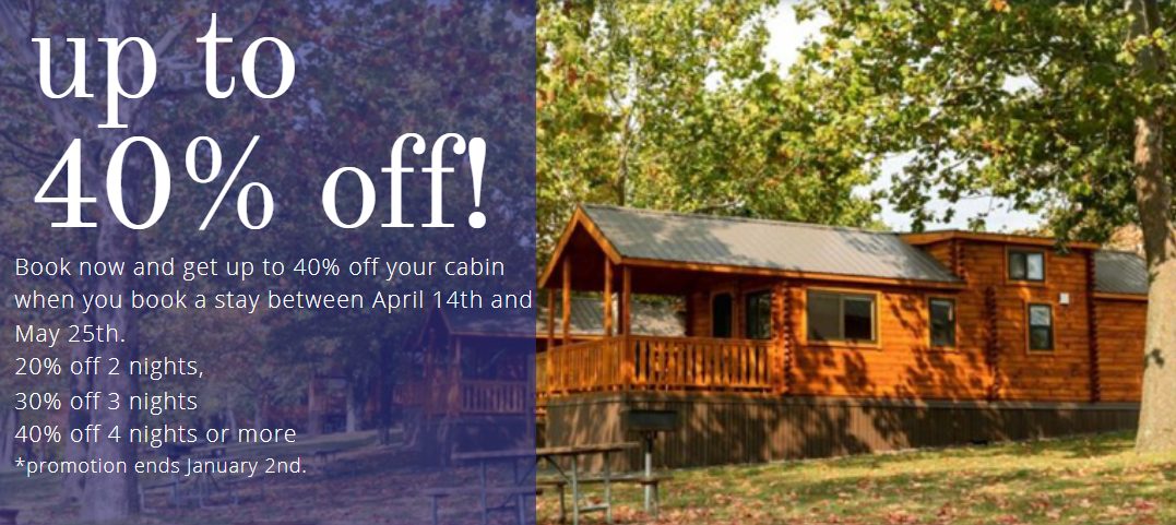 40% Off Cabin Website Image