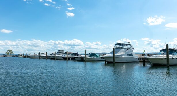 Marina Lined Up